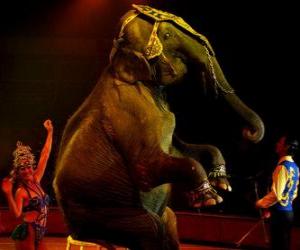 пазл Слон в цирке